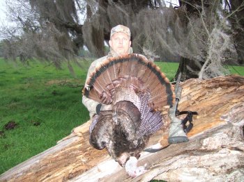 Turkey Photos