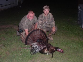 Turkey Photos